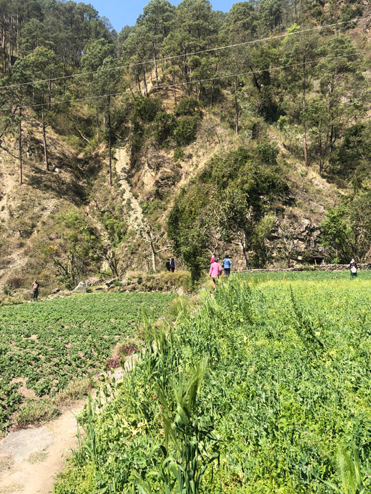 Village Walk | Soulitude