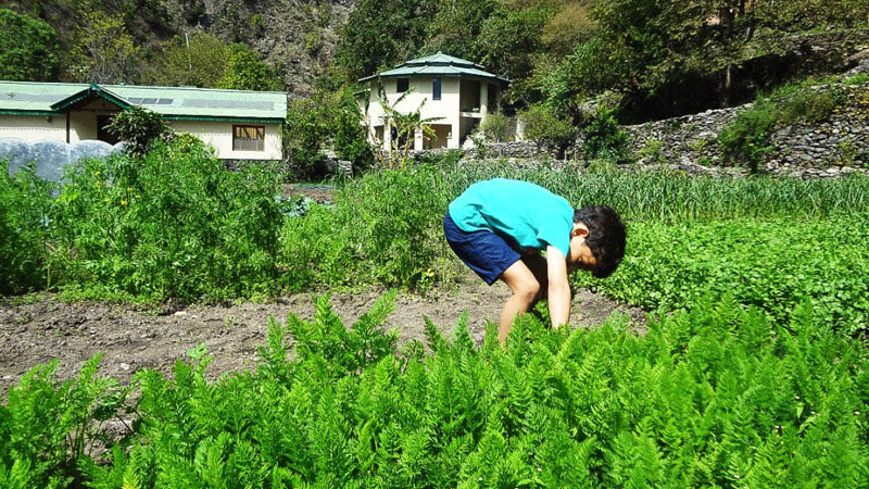 Children in Nature | Soulitude