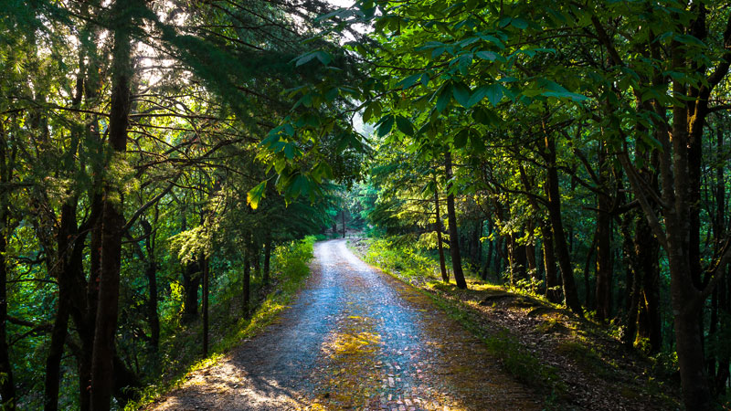 Nature Walks & Hikes | Soulitude