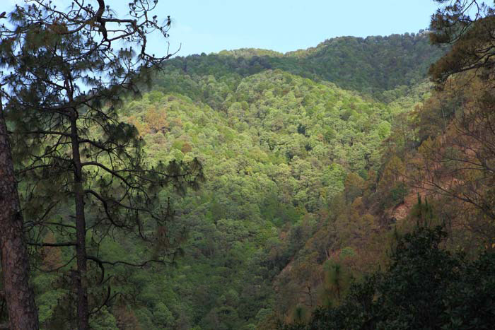 Birding-in-MaheshKhan