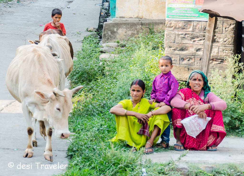 holy-cow-and-women-in-kumaon-india