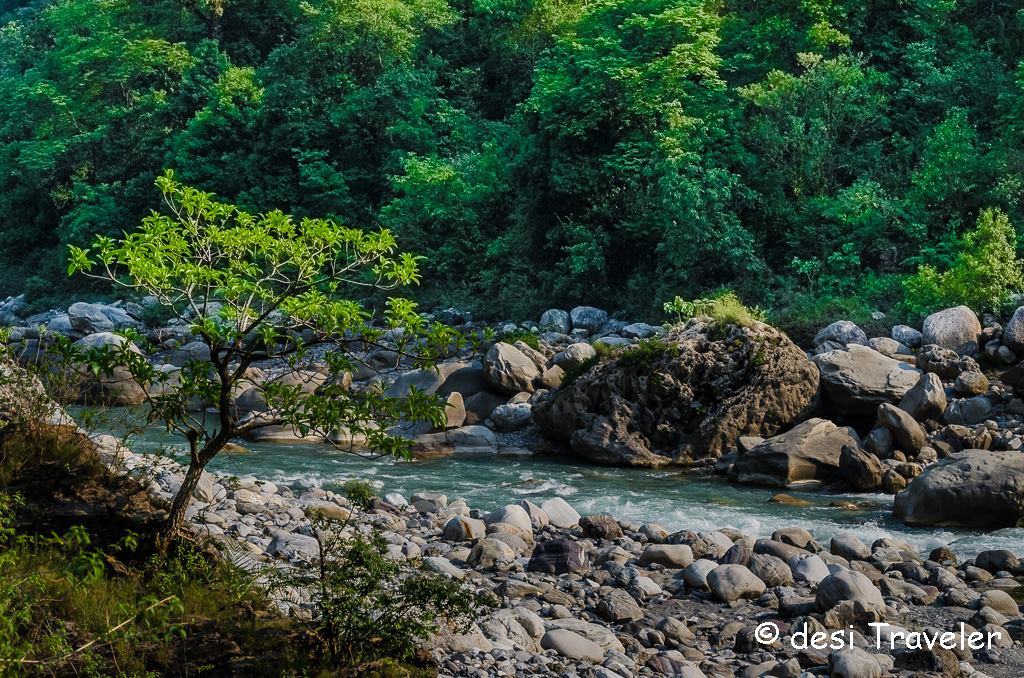 picnic-spot-ramganga-kumaon